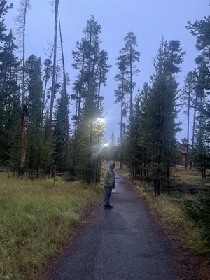 Grant Village by null