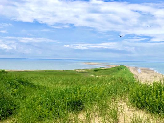 Great Island Trail by null