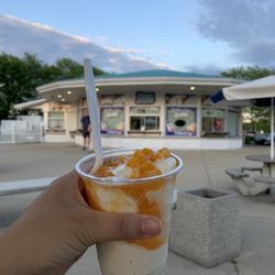 Ritter's Frozen Custard - Mango Gelati