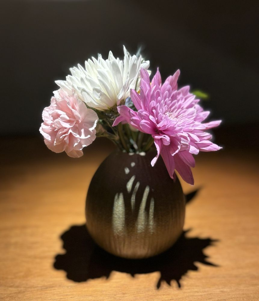 Minamoto Japanese Restaurant