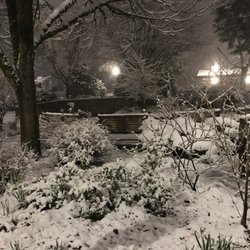 Portland Memory Garden