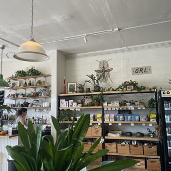 Easy Luck Coffee & Bodega - Interior - Coffee & Tea Near Me - Orlando, Florida