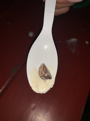 The Scoop N Scootery by null