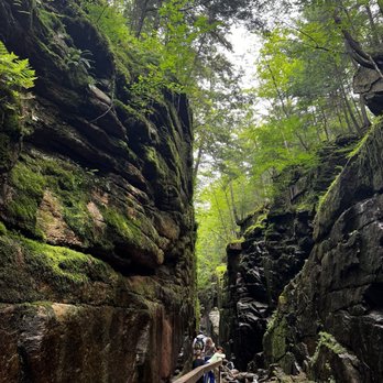 The Flume Gorge - The Flume - Parks Near Me - Lincoln, New Hampshire The Flume Gorge - The Flume - Parks Near Me - Lincoln, New Hampshire