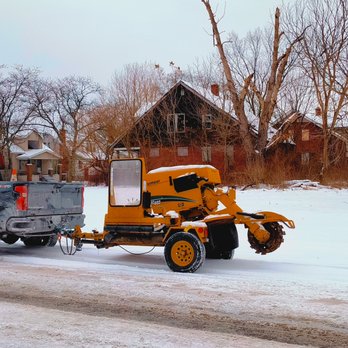 Freel Deal Tree Services - Tree Services Near Me - Southgate, Michigan Freel Deal Tree Services - Tree Services Near Me - Southgate, Michigan