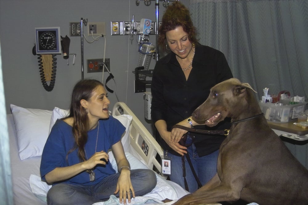 CAPITAL DOG TRAINING PALM SPRINGS Updated April 2024 12 Photos