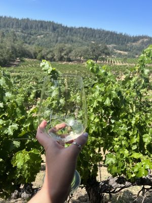Aonair Wine by null
