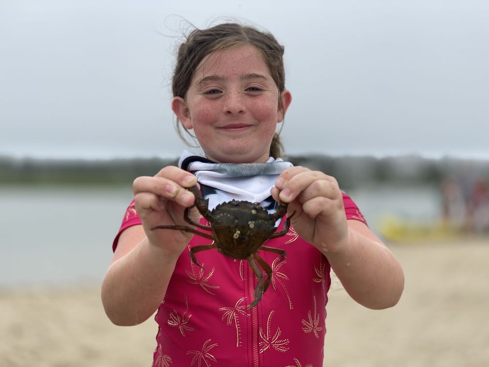 RIDGEVALE BEACH - Updated September 2025 - 95 Photos - 439 Ridgevale Rd ...