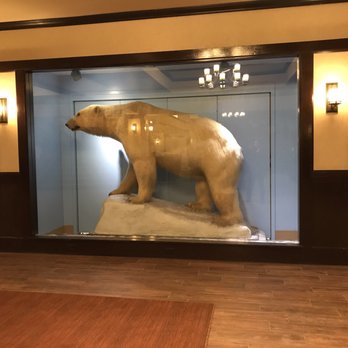 The Lakefront Anchorage - Polar bear - Hotels Near Me - Anchorage, Alaska The Lakefront Anchorage - Polar bear - Hotels Near Me - Anchorage, Alaska