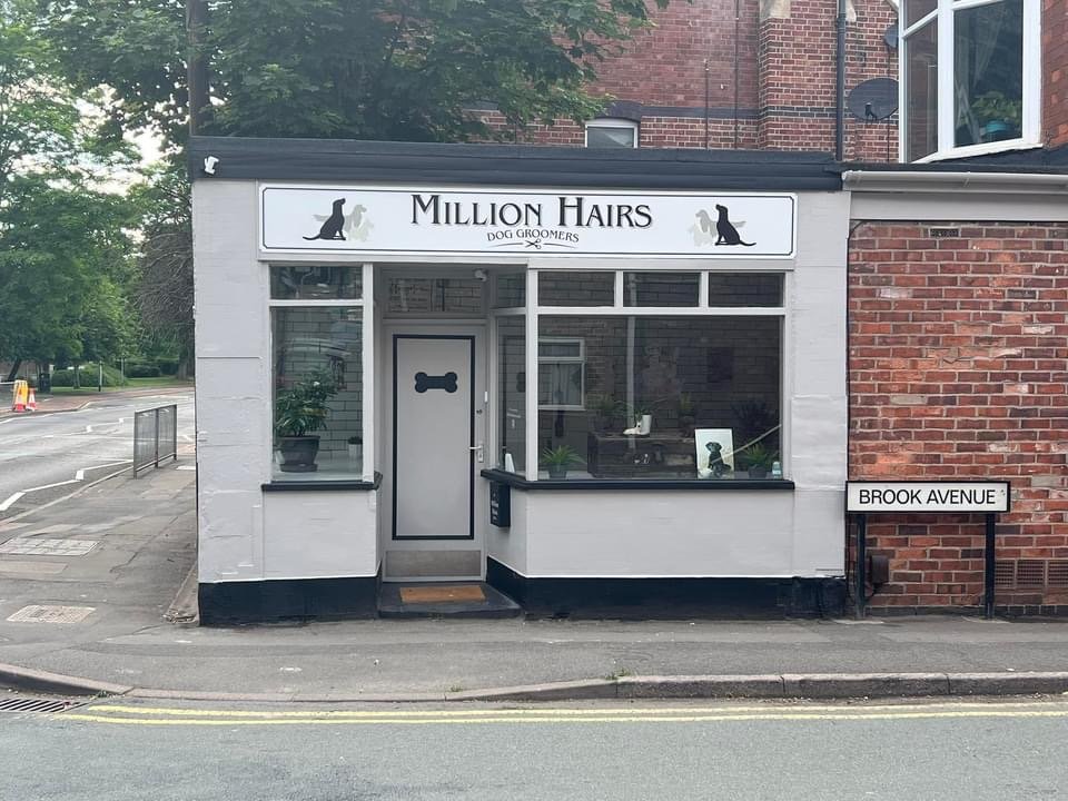 MILLION HAIRS DOG GROOMING Updated August 2024 Request an