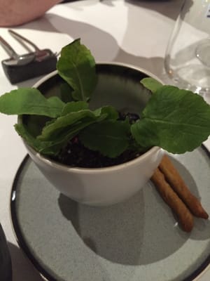 La Menuiserie by null