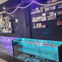 Divine Realm - Display Cases