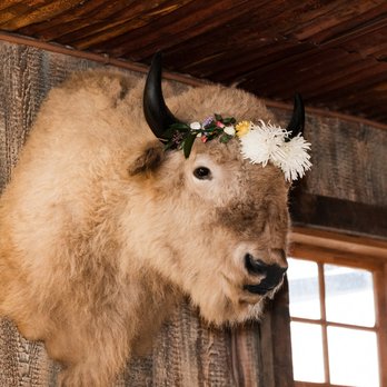The Barn at Evergreen Memorial Park - Venues & Event Spaces Near Me - Evergreen, Colorado The Barn at Evergreen Memorial Park - Venues & Event Spaces Near Me - Evergreen, Colorado