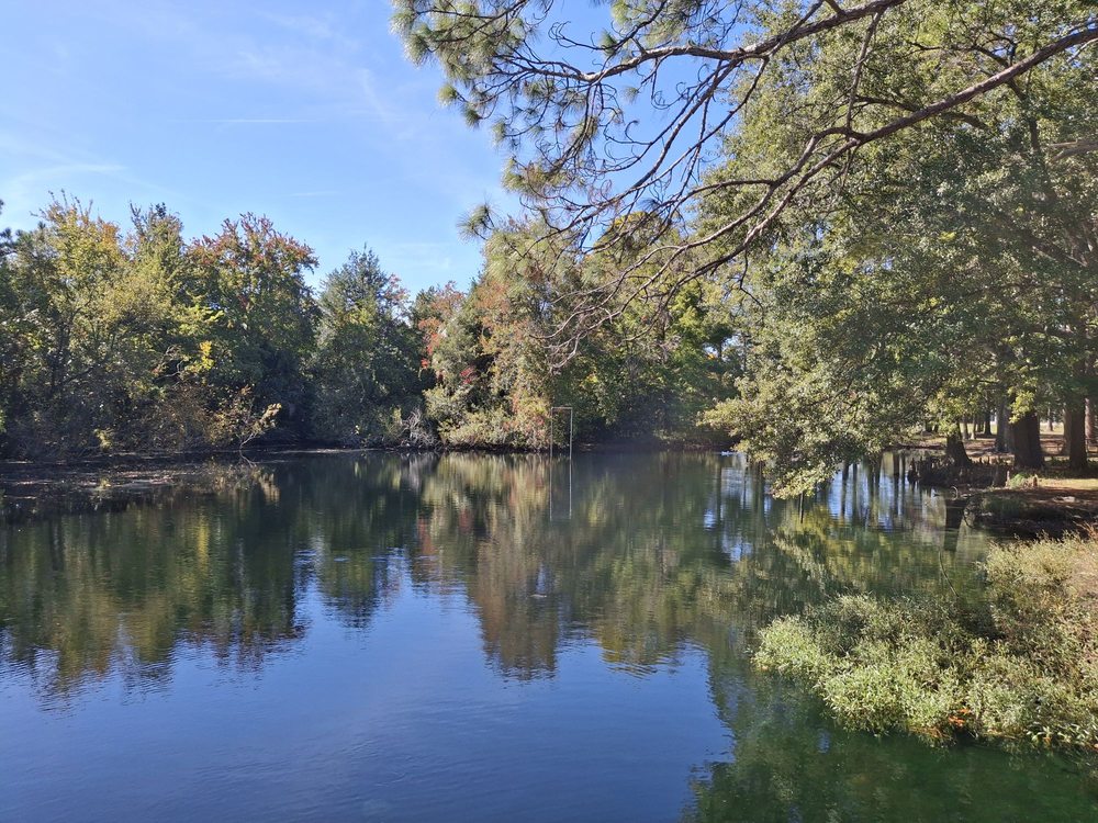Macclenny Duck Pond Image