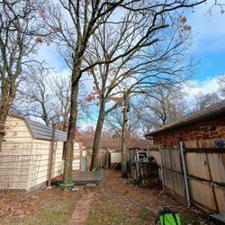A & L Tree & Contract Climbing