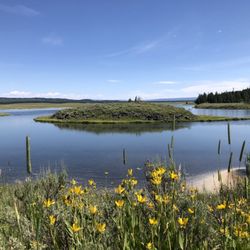 Harriman State Park