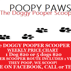Poopy Paws