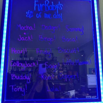 Renaissance Pet Resort & Spa - Welcome Board - Pet Groomers Near Me - Banning, California Renaissance Pet Resort & Spa - Welcome Board - Pet Groomers Near Me - Banning, California