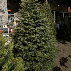 Stump's Family Marketplace - Christmas Tree Lot