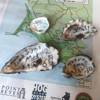Hog Island Oyster - Prices of the oyster per dozen. - Seafood Near Me - Marshall, California Hog Island Oyster - Prices of the oyster per dozen. - Seafood Near Me - Marshall, California