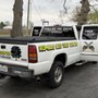 Photo of Rumble Bee Tree Service