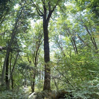 Saint Edward State Park - Parks Near Me - Kenmore, Washington