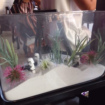 AnnaLena - Random Star Wars figure in tank - Canadian (New) Near Me - Vancouver, British Columbia AnnaLena - Random Star Wars figure in tank - Canadian (New) Near Me - Vancouver, British Columbia