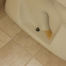 Urine on toilet