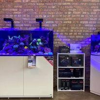 Old Town Aquarium by null