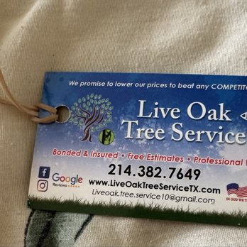 Live Oak Tree Service - DO NOT HIRE! See my review! - Tree Services Near Me - Dallas, Texas Live Oak Tree Service - DO NOT HIRE! See my review! - Tree Services Near Me - Dallas, Texas