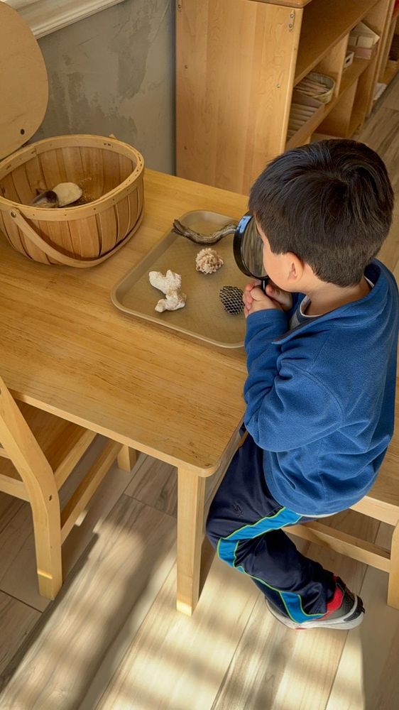 Genie Bambini Montessori Learning Center - childcare center in Herriman, UT