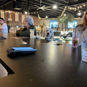 Park-9 Dog Bar - Bars Near Me - Everett, Massachusetts Park-9 Dog Bar - Bars Near Me - Everett, Massachusetts