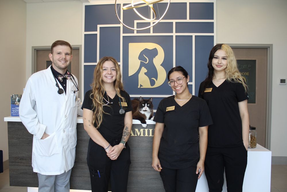 BLISS FAMILY VETERINARIAN Updated September 2024 10 Photos 19727