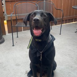 Gridiron Grill & Tap House - Outside patio