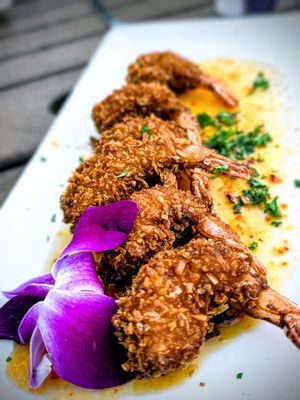 Coconuts on the Beach by null