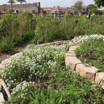 Community Roots Garden - Botanical Gardens Near Me - Oxnard, California