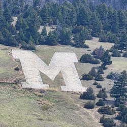 College M