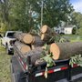 Central Tree Service