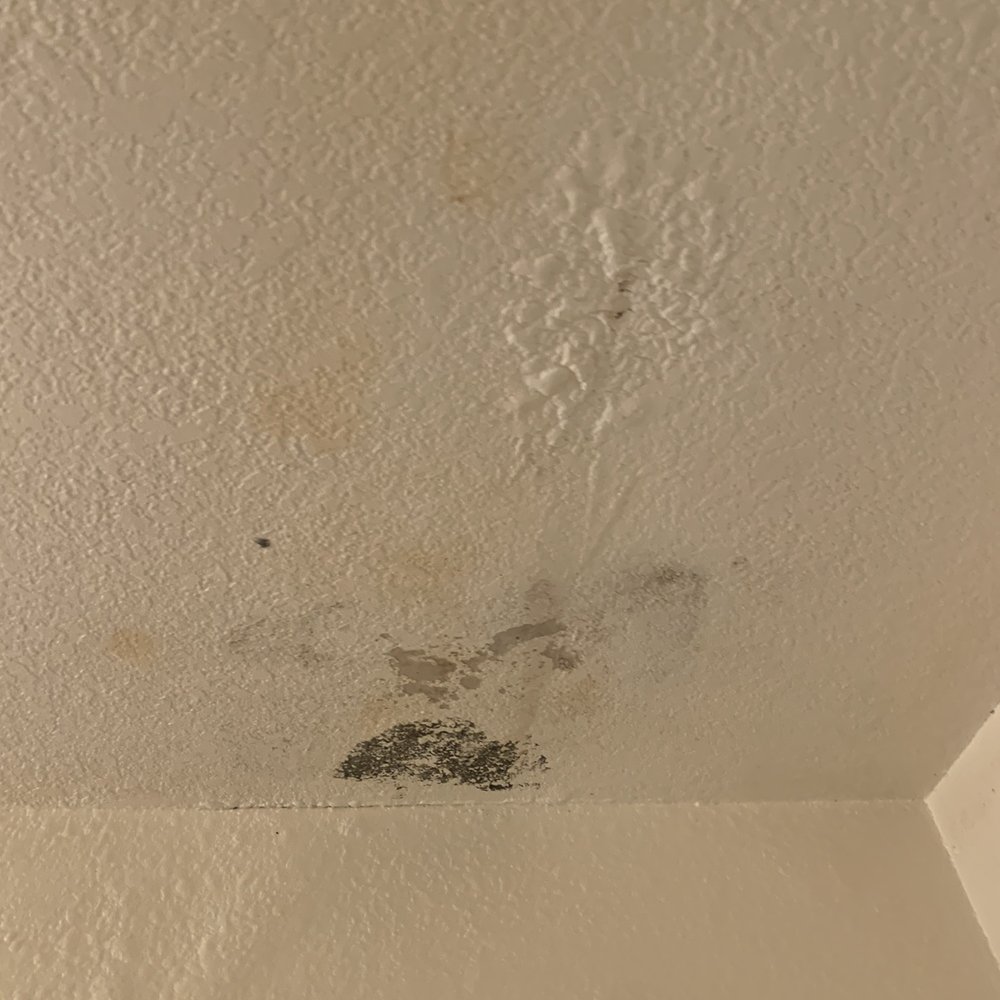 Pleasant Run Apartments - Mold - Apartments Near Me - Lancaster, Texas