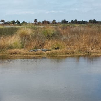St. Mark's Lighthouse - There's a bunch of gators around here - Landmarks & Historical Buildings Near Me - Crawfordville, Florida St. Mark's Lighthouse - There's a bunch of gators around here - Landmarks & Historical Buildings Near Me - Crawfordville, Florida