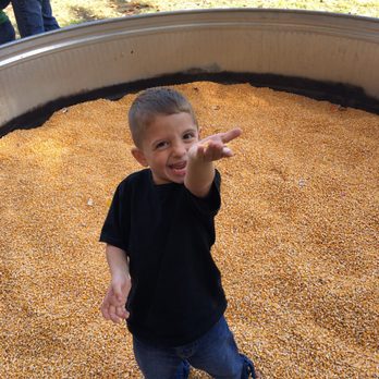 Huffman Farms U-Pick Pumpkin Patch - Pumpkin Patches Near Me - Ellensburg, Washington
