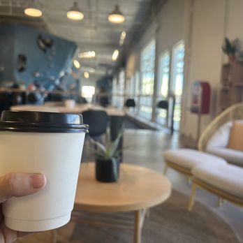Proyecto Coffee - A person holds a disposable coffee cup with a black lid in the foreground of a coffee shop interior. The background includes a round wooden table with a small potted plant, a white cushioned sofa with a pillow, and large windows allowing natural light. The space has a modern, cozy atmosphere with seating arrangements and decor elements. - Coffee & Tea Near Me - Tempe, Arizona