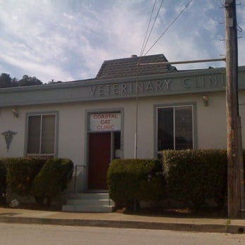 Coastal Cat Clinic - Veterinarians Near Me - Pacifica, California Coastal Cat Clinic - Veterinarians Near Me - Pacifica, California