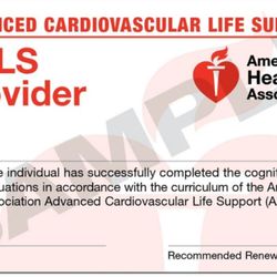ACLS, BLS/CPR & PALS Classes - Let's get certified!....