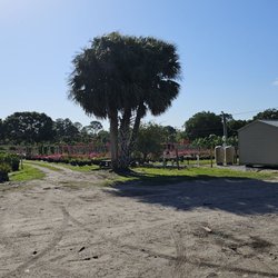 J and C Nursery