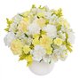 Photo of Bunches Florapost