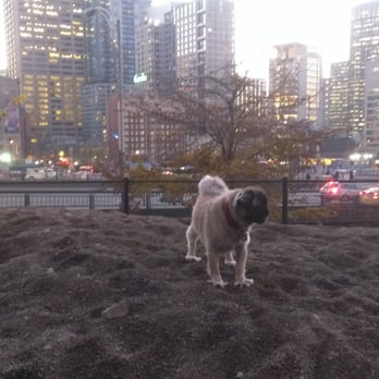 Plymouth Pillars Park - Zero the mostly pug... - Parks Near Me - Seattle, Washington Plymouth Pillars Park - Zero the mostly pug... - Parks Near Me - Seattle, Washington