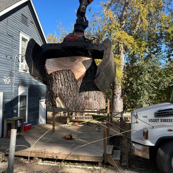 BM Tree Services - Tree Services Near Me BM Tree Services - Tree Services Near Me