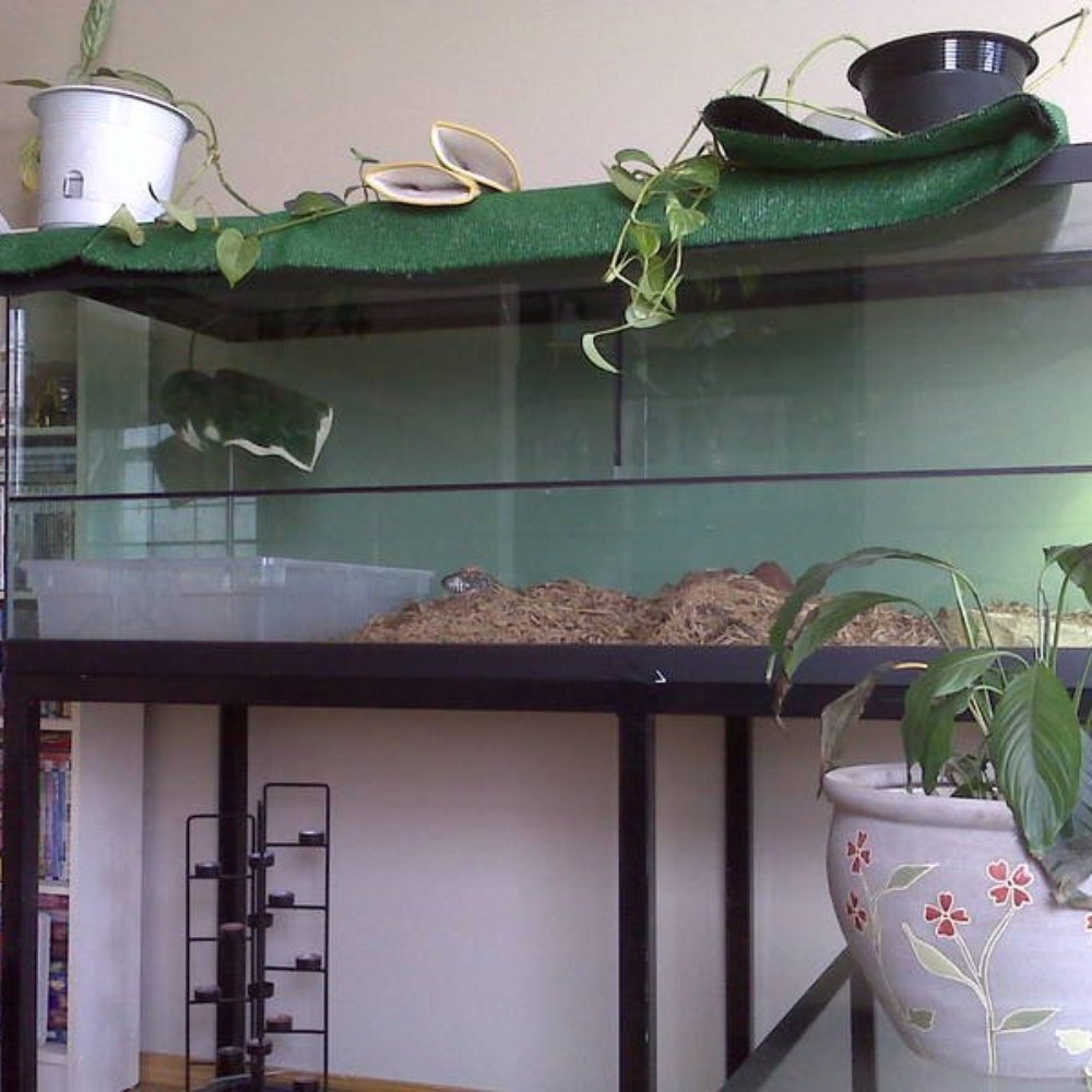 Bow Valley Aquarium - Pet Stores Near Me - Calgary, Alberta Bow Valley Aquarium - Pet Stores Near Me - Calgary, Alberta