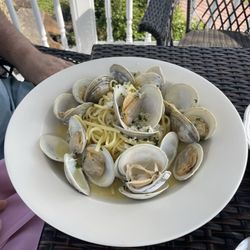 The Inn at Sugar Hill - Clams in butter wine sauce